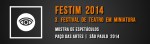 2014 festim-_-festival-de-teatro-em-miniatura-12-_paço das artes 2014 oficina teatro lambe lambe&nbsp;b