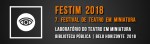 festim 2018 laboratorio