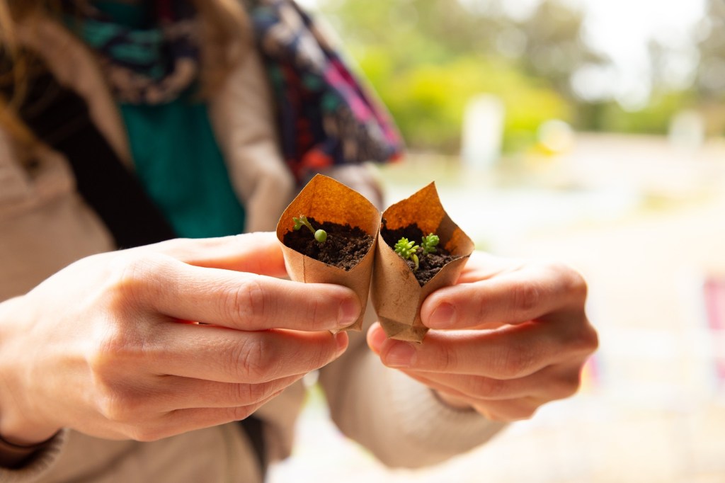 FESTIM 2019 | FESTIVAL DE TEATRO EM MINIATURA E TEATRO LAMBE LAMBE